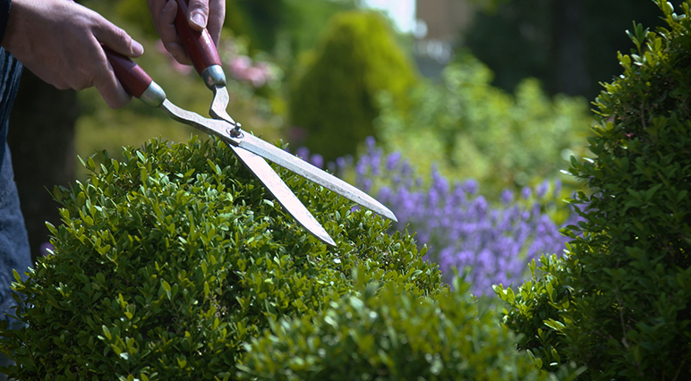 How To Start Grinding And Sharpening