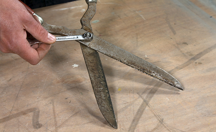 How To Make Your Garden Shears Sharp Again