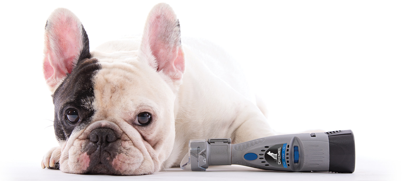 Dremel Big On Detail Dremel Europe